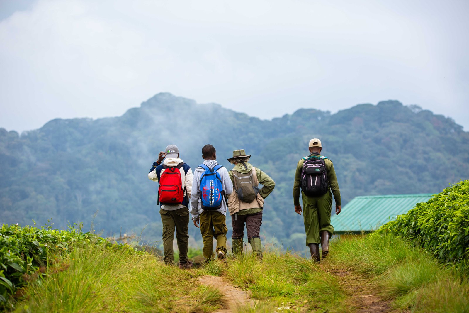 Tours in Rwanda