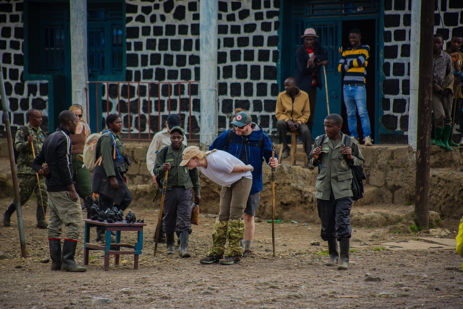 Conservation Efforts